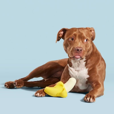 BARK Brawnana Super Chewer Dog Toy 2 BARK Brawnana Super Chewer Dog Toy - Image 2