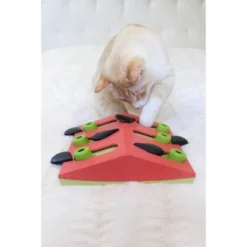 Petstages Nina Ottosson Melon Madness Interactive Treat Puzzle Cat Toy -PawHut Store GUEST 1e07dc33 64e2 4394 81e6 67659e5a66bc