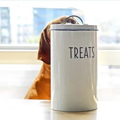 Outshine Co White Farmhouse Cat And Dog Treat Container With 2 Dog Bone Cookie Cutters 12 Outshine Co White Farmhouse Cat And Dog Treat Container With 2 Dog Bone Cookie Cutters -PawHut Store GUEST 1ec05f02 c371 44ff 8cc1 737920bc449f