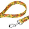 Country Brook Petz Tropical Floral Dog Leash (4 Foot, 5/8 Inch)