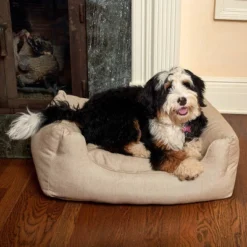 Winn + Willow Cuddler Piping Dog And Cat Bed - S - Beige And Chocolate