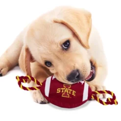 NCAA Iowa State Cyclones Nylon Football Dog Toy -PawHut Store GUEST 221aafec 496e 4d98 bd13 0fea16ee314d
