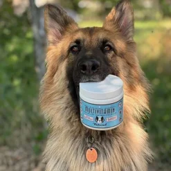 Natural Dog Company Multivitamin Supplements - Sweet Potato/Duck - 90ct -PawHut Store GUEST 2260e7cd d495 4f95 9d12 510f89e12f98