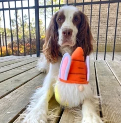 Midlee Easter Bunny Gnome Dog Toy