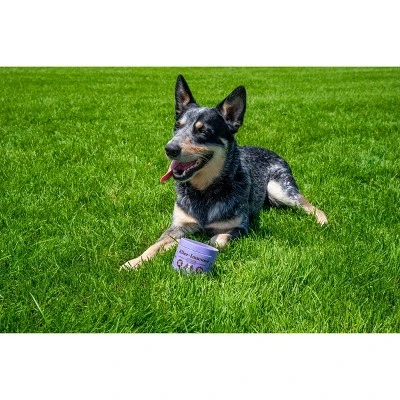 Natural Dog Company Allergy Immune Supplement Dog Chews - Salmon - 90ct 4 Natural Dog Company Allergy Immune Supplement Dog Chews - Salmon - 90ct - Image 4