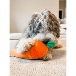 Midlee Hide A Toy Carrot Easter Dog Toy 7 Midlee Hide A Toy Carrot Easter Dog Toy -PawHut Store GUEST 242bceac 5464 491f 8534 1fea455344c1