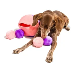 Midlee Hide A Ball Dog Toy - Pink/Purple 13 Midlee Hide A Ball Dog Toy - Pink/Purple -PawHut Store GUEST 2494f44e 1b7f 4ea1 aed6 0c99bb6ba596