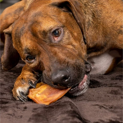 Pet Factory Real Chewz Premium Pig Ears - 7 Count 2 Pet Factory Real Chewz Premium Pig Ears - 7 Count - Image 2