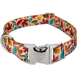 Country Brook Petz Premium Brisk Autumn Dog Collar 9 Country Brook Petz Premium Brisk Autumn Dog Collar -PawHut Store GUEST 24d11775 b552 4482 8e96 0c70966cec7c