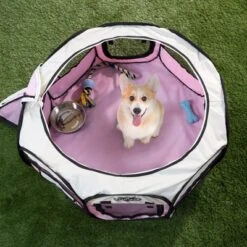 Pet Adobe Portable Pop-Up Pet Playpen With Carrying Bag, 33" Diameter, Pink -PawHut Store GUEST 25053f7b 9a66 4ad7 80bf d540b803b632