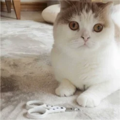 Necoichi Purrcision Feline Nail Clippers -PawHut Store GUEST 2522672e f500 43ad af2a 00bcba8d0090