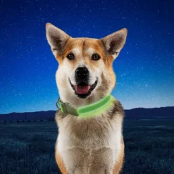 Nite Ize Nite Dog Rechargeable LED Dog Collar - L - Lime/Green 11 Nite Ize Nite Dog Rechargeable LED Dog Collar - L - Lime/Green -PawHut Store GUEST 25e67b54 80f1 4f62 8745 c374671900b9