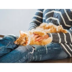 Naturally Fresh Quick Clumping Cat Litter - 14lbs 7 Naturally Fresh Quick Clumping Cat Litter - 14lbs -PawHut Store GUEST 2685137f a433 47c2 ad8f 5fa5e2087d82