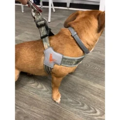 Doggy Tales Realtree Step In V Harness Edge 6 Doggy Tales Realtree Step In V Harness Edge -PawHut Store GUEST 2a4b4000 6449 4497 9a6a f8e8d97494e1