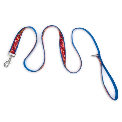 The Worthy Dog Tools Pet Leash 2 The Worthy Dog Tools Pet Leash - Image 2