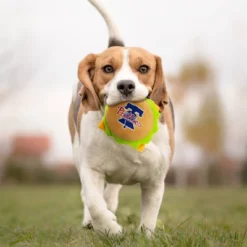 MLB Philadelphia Phillies Hamburger Toy -PawHut Store GUEST 2b5dca76 db04 4653 97ce 6cd7c04203be