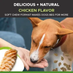 Pet Honesty Scoot Stopper Anal Gland Support Soft Chews For Dogs - Chicken Flavor, 90 Ct -PawHut Store GUEST 2b7115ee a2ee 4bcd aa04 bf7e80bf4e8c