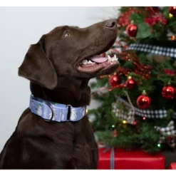 Country Brook Petz Snowman Martingale Dog Collar -PawHut Store GUEST 2cf54730 468e 4ad1 81ce 6b371149210e