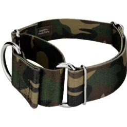 Country Brook Petz 2 Inch Woodland Camo Martingale Dog Collar