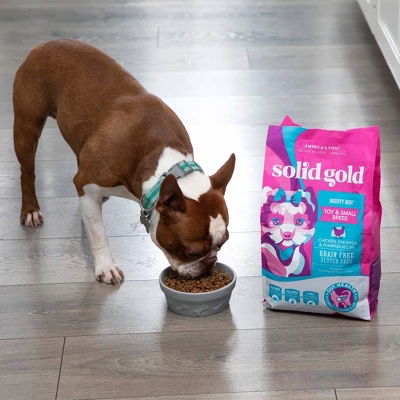 Solid Gold Mighty Mini Toy & Small Breed All Ages Dry Dog Food With Chicken & Pumpkin Flavor - 4lbs 2 Solid Gold Mighty Mini Toy & Small Breed All Ages Dry Dog Food With Chicken & Pumpkin Flavor - 4lbs - Image 2