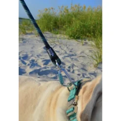 Black Rhino Dog Leash 5ft Ultra-Soft Neoprene Handle & Reflective Carabiner - Aqua -PawHut Store GUEST 2ea48bbb 9277 4234 8629 ec251eceb718
