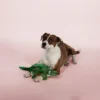 PetShop By Fringe Studio Croc-A-Gator Dog Toy