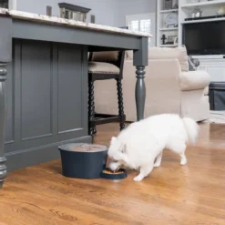 PetSafe Six Meal Pet Feeder - 7.5lbs -PawHut Store GUEST 2f2f93a3 f3e2 49ac a05c 55a8a5426a62