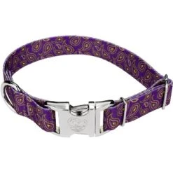 Country Brook Petz Premium Purple Paisley Dog Collar -PawHut Store GUEST 2fdb4da0 4e0d 4ef1 b310 d649840347b6