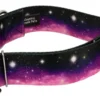 Country Brook Petz 1 1/2 Inch Deluxe Heavenly Space Dog Collar