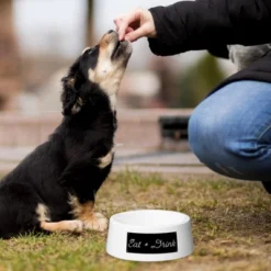 Amici Pet Ceramic Eat + Drink Bowl Large, Pet Food And Water Feeder, Anti-Slip Ceramic Treat Bowl, White Bowl, 24-Ounce 5 Amici Pet Ceramic Eat + Drink Bowl Large, Pet Food And Water Feeder, Anti-Slip Ceramic Treat Bowl, White Bowl, 24-Ounce -PawHut Store GUEST 305e08b0 30f2 4a79 baee 2c4d3c40afc6