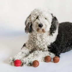 Midlee Red Nose Christmas Dog Tennis Balls (Standard) -PawHut Store GUEST 30a0c938 a4d5 4501 a365 25d202a8fb4a