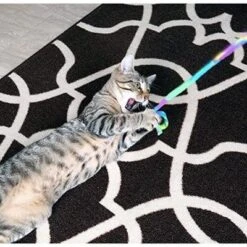 Cat Dancer Cat Toy Cat Charmer Rainbow Wand Teaser 1 Pack 8 Cat Dancer Cat Toy Cat Charmer Rainbow Wand Teaser 1 Pack -PawHut Store GUEST 30cff1cb 2996 46f0 810b 1f2ee873d7c3