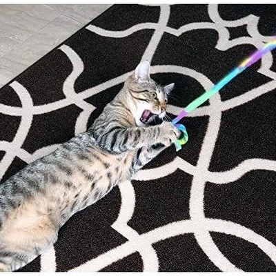 Cat Dancer Cat Toy Cat Charmer Rainbow Wand Teaser 1 Pack 4 Cat Dancer Cat Toy Cat Charmer Rainbow Wand Teaser 1 Pack - Image 4
