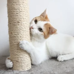 Pet Adobe Multilevel Cat Tree House Tower And Scratching Posts - Beige -PawHut Store GUEST 336cdfd8 059d 42c2 acb8 6f8a7d8e0346