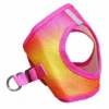 Doggie Design American River Choke Free Dog Harness Ombre Collection-Raspberry Pink And Orange
