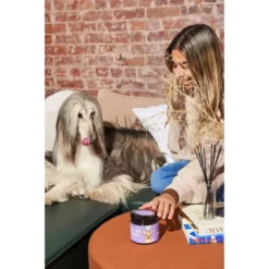 Wild One CALM Normal Stress & Relaxation Wellness Supplement Soft Chews For Dogs - 120ct -PawHut Store GUEST 35bb9d7a feba 4025 a2d7 6b4f06cdf2c3