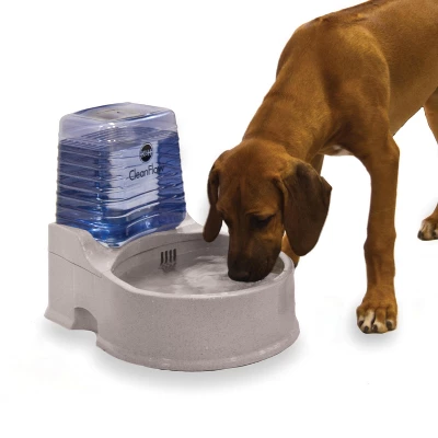 CleanFlow Filtered Water Bowl 6 CleanFlow Filtered Water Bowl - Image 6