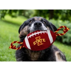 NCAA Iowa State Cyclones Nylon Football Dog Toy