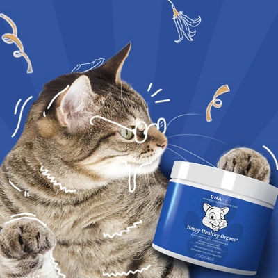Codeage DNA PET Happy Healthy Organs & Glands Supplement For Cats -1.48oz 3 Codeage DNA PET Happy Healthy Organs & Glands Supplement For Cats -1.48oz - Image 3