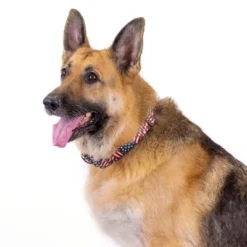 Country Brook Petz 1 1/2 Inch Premium Patriotic Tribute Dog Collar