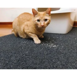 Drymate 30" X 45" Cat Litter Trapping Mat - Plush Charcoal 7 Drymate 30" X 45" Cat Litter Trapping Mat - Plush Charcoal -PawHut Store GUEST 39377872 372e 46da bed6 ada7a285a47d