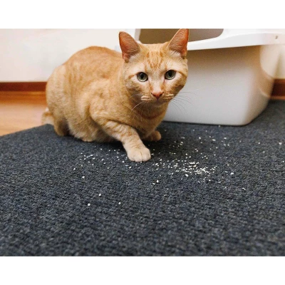 Drymate 30" X 45" Cat Litter Trapping Mat - Plush Charcoal 4 Drymate 30" X 45" Cat Litter Trapping Mat - Plush Charcoal - Image 4