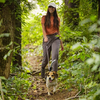 Nature's Recipe Grain Free Chicken, Sweet Potato & Pumpkin Recipe Small Breed Adult Dry Dog Food 2 Nature's Recipe Grain Free Chicken, Sweet Potato & Pumpkin Recipe Small Breed Adult Dry Dog Food - Image 2