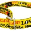 Country Brook Petz Yellow Loveable Rescue Martingale Dog Collar