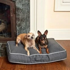 Winn + Willow Sadie Piping Dog And Cat Bed - Charcoal And Gray