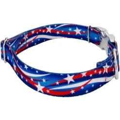 Country Brook Petz Premium Star Spangled Dog Collar
