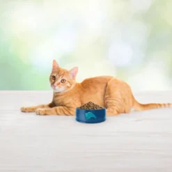 Blue Buffalo Freedom Grain Free Indoor With Chicken, Peas & Potatoes Adult Premium Dry Cat Food 13 Blue Buffalo Freedom Grain Free Indoor With Chicken, Peas & Potatoes Adult Premium Dry Cat Food -PawHut Store GUEST 3d61c6a6 6690 4108 8abc 5f36f4d16d2a