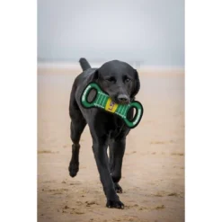 NCAA LSU Tigers Field Dog Toy