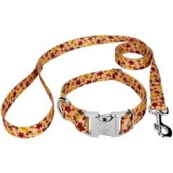 Country Brook Petz Premium Fall Foliage Dog Collar And Leash -PawHut Store GUEST 3df9c00d 4606 4db0 b6ea a9cfc60b3f00