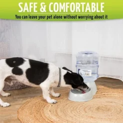 Zone Tech Self-Dispensing Pet Waterer - Premium Quality Durable Self-Dispensing Gravity 3.7 Liters Pet Waterer -PawHut Store GUEST 3f00489d d973 4ef6 b42a 2033ad40dc3c